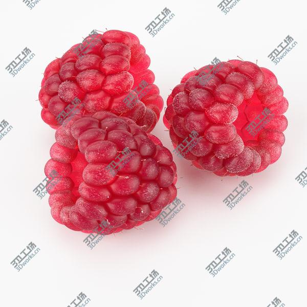 images/goods_img/20210312/Realistic Raspberry/3.jpg